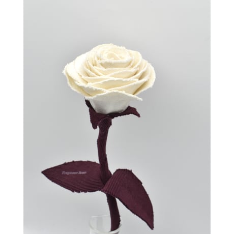 Fragment Rose - Antique Ivory -｜ Remake by VERS