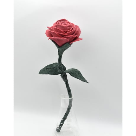 Fragment Rose - Vintage Coral - ｜ Remake by VERS