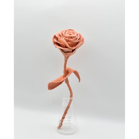 Fragment Rose - Burnt Apricot - ｜ Remake by VERS