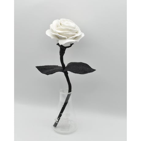 Fragment Rose - White Shadow -｜ Remake by VERS