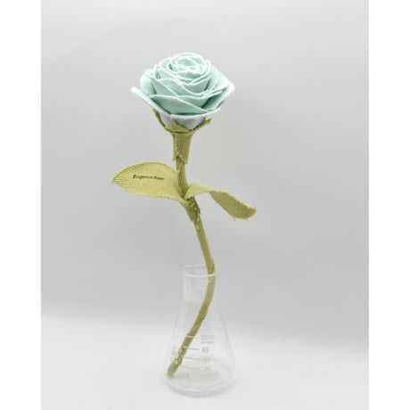 Fragment Rose - Mint Meadow - ｜ Remake by VERS