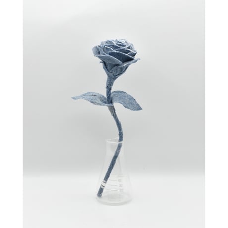 Fragment Rose - Light Indigo -｜ Remake by VERS