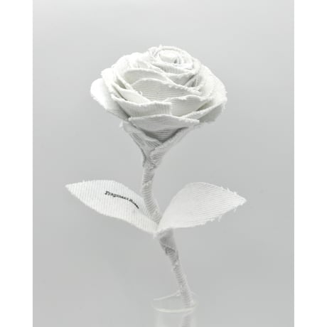 Fragment Rose - Ice White - ｜ Remake by VERS