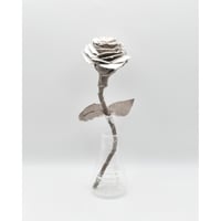 Fragment Rose - Café au Lait -｜ Remake by VERS