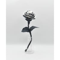 Fragment Rose - Black Pearl - ｜ Remake by VERS