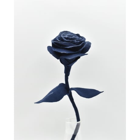 Fragment Rose - Midnight Navy - ｜ Remake by VERS