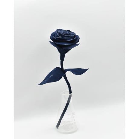 Fragment Rose - Midnight Navy - ｜ Remake by VERS