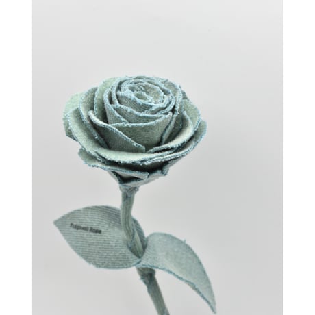 Fragment Rose - Pale Mint - ｜ Remake by VERS