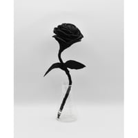 Fragment Rose - Morion Black - ｜ Remake by VERS