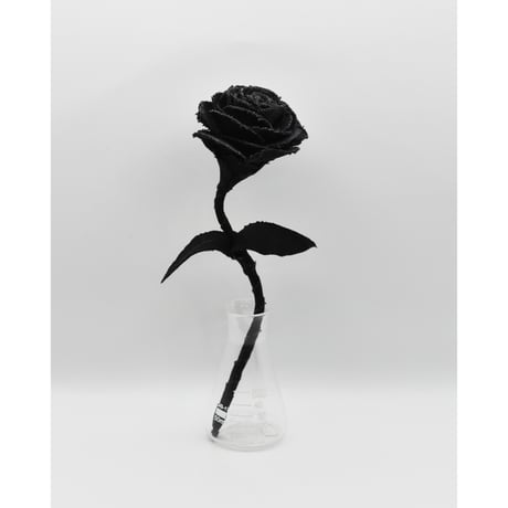 Fragment Rose - Morion Black - ｜ Remake by VERS
