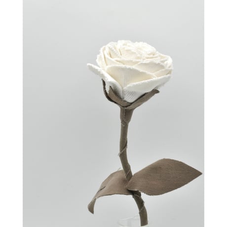 Fragment Rose - White Dune - ｜ Remake by VERS