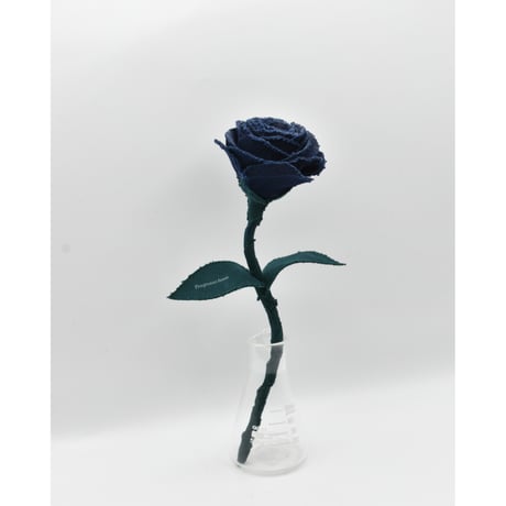 Fragment Rose - Deep Navy - ｜ Remake by VERS