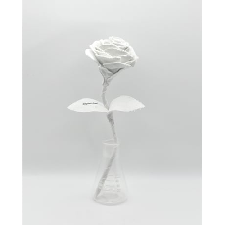 Fragment Rose - Ice White - ｜ Remake by VERS