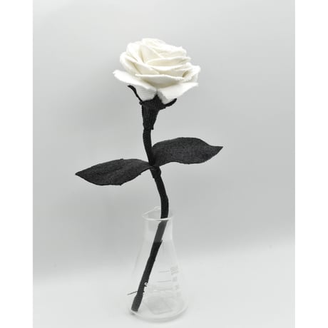 Fragment Rose - White Shadow -｜ Remake by VERS
