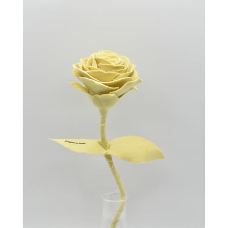 Fragment Rose - Pale Lemon - ｜ Remake by VERS