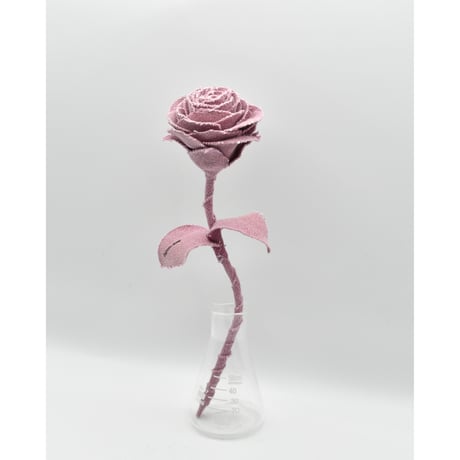 Fragment Rose - Ash Pink - ｜ Remake by VERS