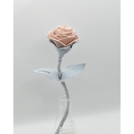 Fragment Rose - Dusty Peach - ｜ Remake by VERS