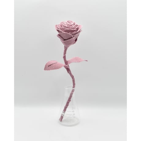 Fragment Rose - Ash Pink - ｜ Remake by VERS