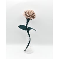 Fragment Rose - Dusty Mocha - ｜ Remake by VERS