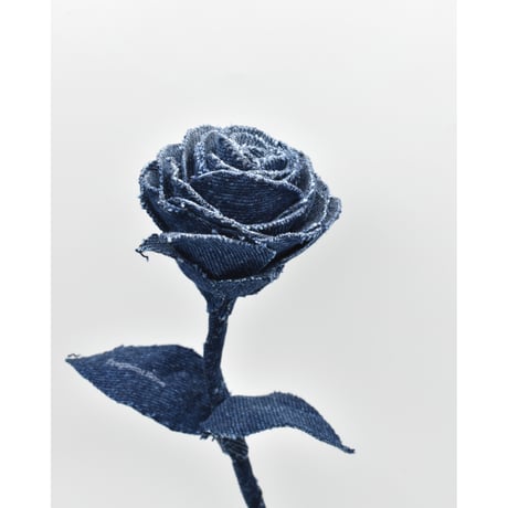 Fragment Rose - Deep Indigo -｜ Remake by VERS