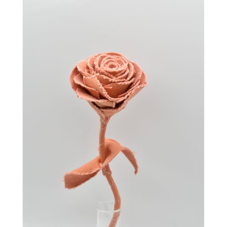 Fragment Rose - Burnt Apricot - ｜ Remake by VERS