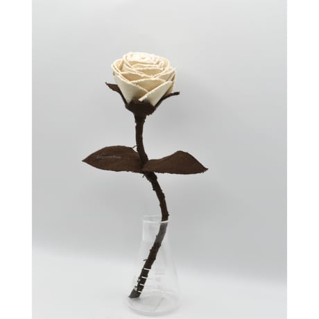 Fragment Rose - Ivory Mocha - ｜ Remake by VERS