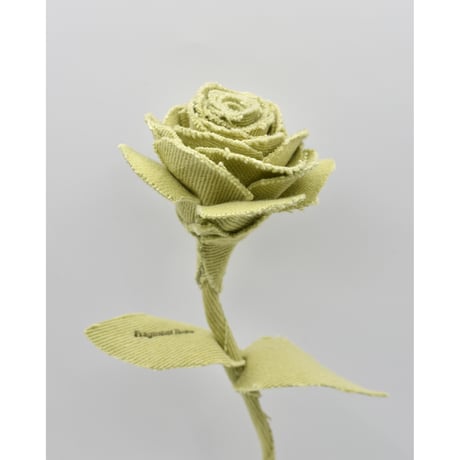 Fragment Rose - Pistachio Cream - ｜ Remake by VERS