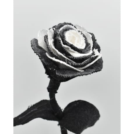 Fragment Rose - Black Swan - ｜ Remake by VERS