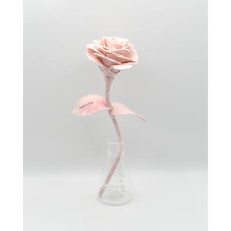 Fragment Rose - Mottled Pink -｜ Remake by VERS