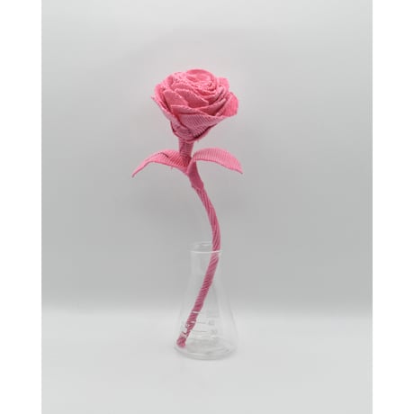 Fragment Rose - Hot Pink - ｜ Remake by VERS