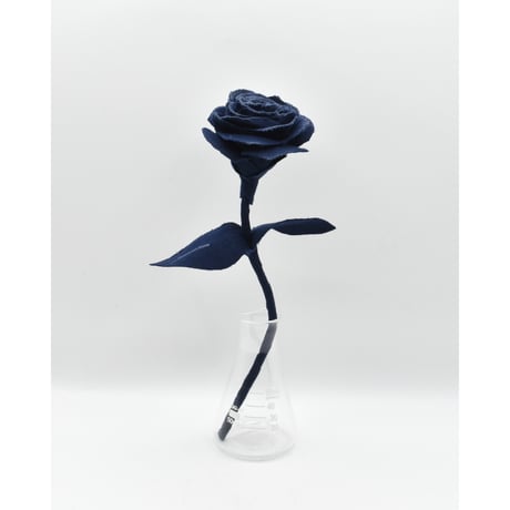 Fragment Rose - Midnight Navy - ｜ Remake by VERS