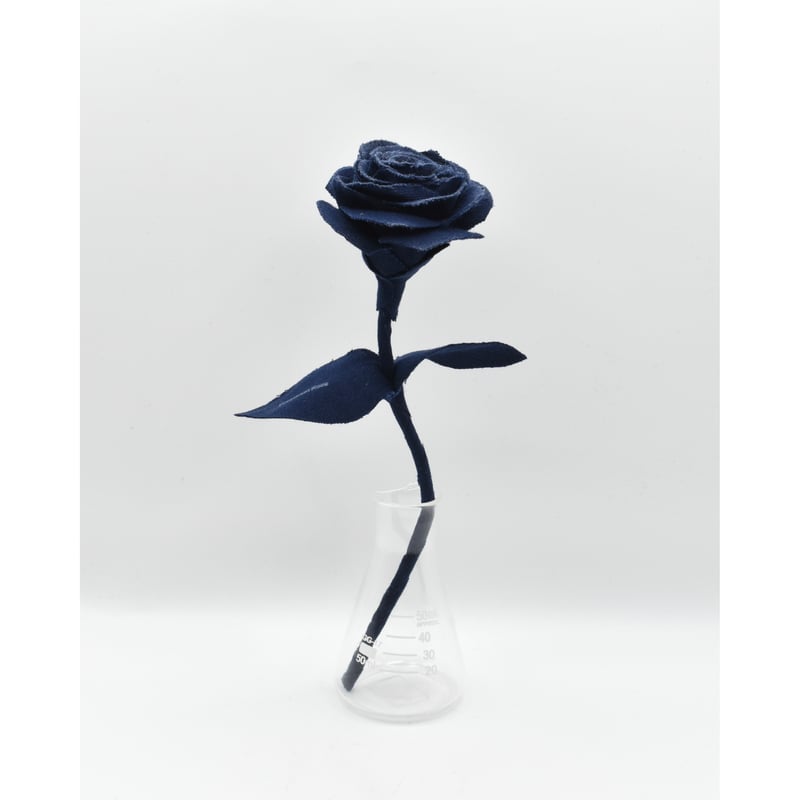 Fragment Rose - Midnight Navy - ｜ Remake by VER