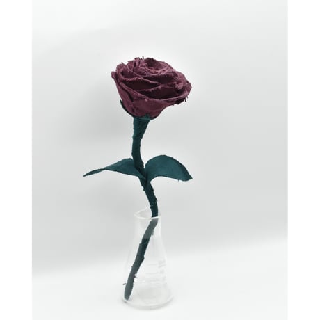 Fragment Rose - Merlot - ｜ Remake by VERS