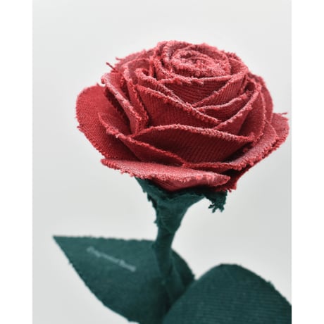 Fragment Rose - Ruby Red - ｜ Remake by VERS