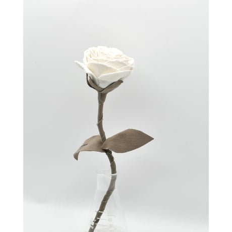 Fragment Rose - White Dune - ｜ Remake by VERS