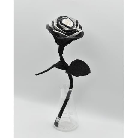 Fragment Rose - Black Swan - ｜ Remake by VERS