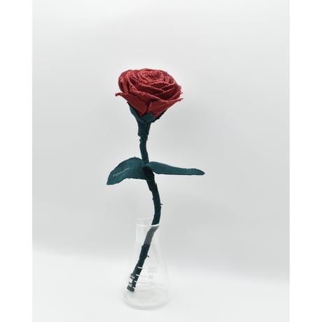 Fragment Rose - Ruby Red - ｜ Remake by VERS