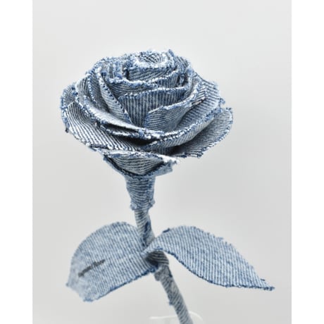 Fragment Rose - Acid Blue - ｜ Remake by VERS
