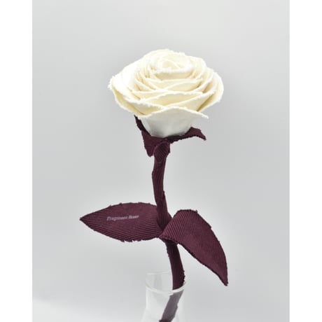 Fragment Rose - Antique Ivory -｜ Remake by VERS