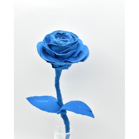 Fragment Rose - Cerulean Blue -｜ Remake by VERS