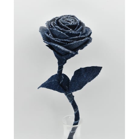 Fragment Rose - Deep Indigo Contrast -｜ Remake by VERS