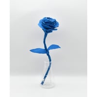 Fragment Rose - Cerulean Blue -｜ Remake by VERS