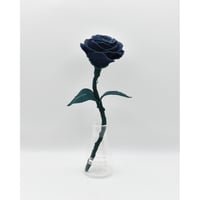 Fragment Rose - Deep Navy - ｜ Remake by VERS