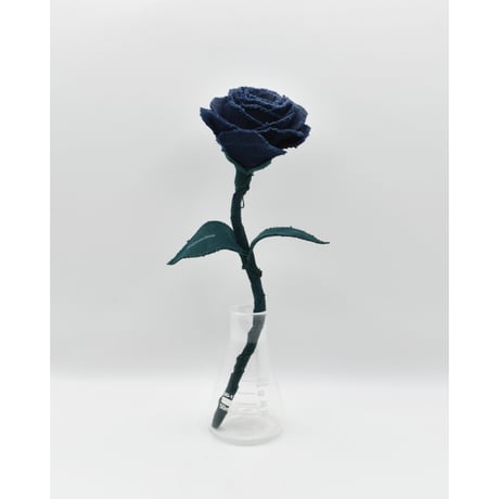Fragment Rose - Deep Navy - ｜ Remake by VERS