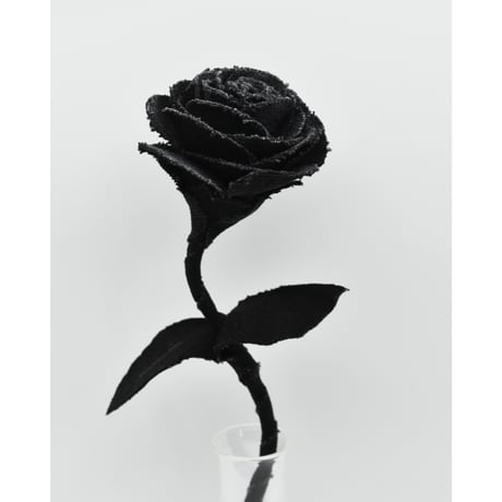 Fragment Rose - Morion Black - ｜ Remake by VERS