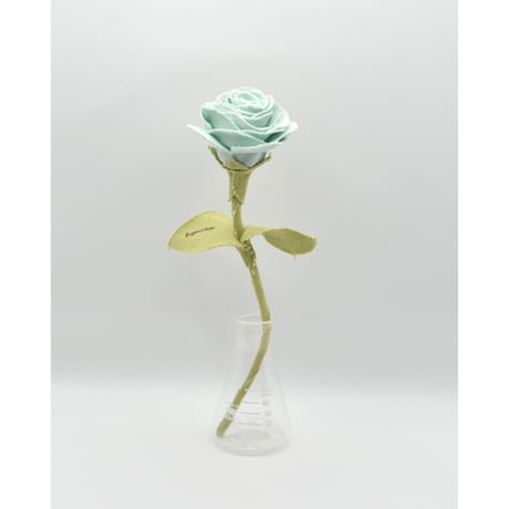 Fragment Rose - Mint Meadow - ｜ Remake by VERS