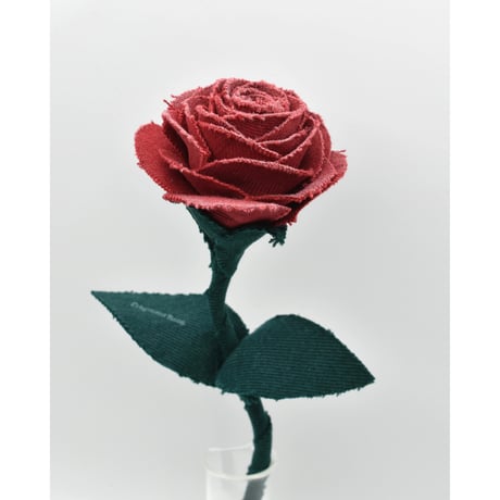 Fragment Rose - Ruby Red - ｜ Remake by VERS