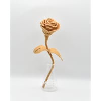 Fragment Rose - Orange Honey - ｜ Remake by VERS