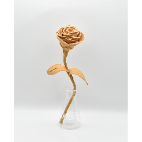 Fragment Rose - Orange Honey - ｜ Remake by VERS