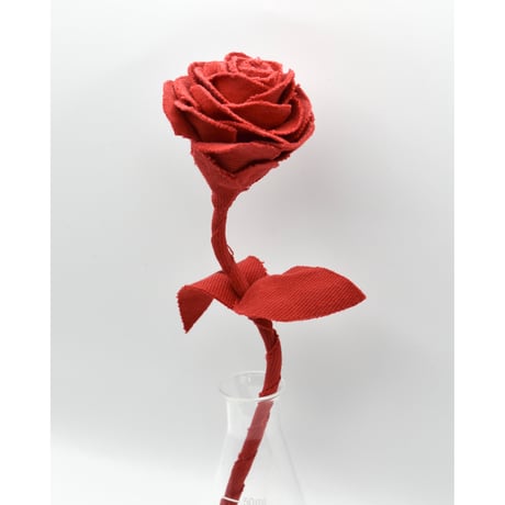 Fragment Rose - Scarlet -｜ Remake by VERS